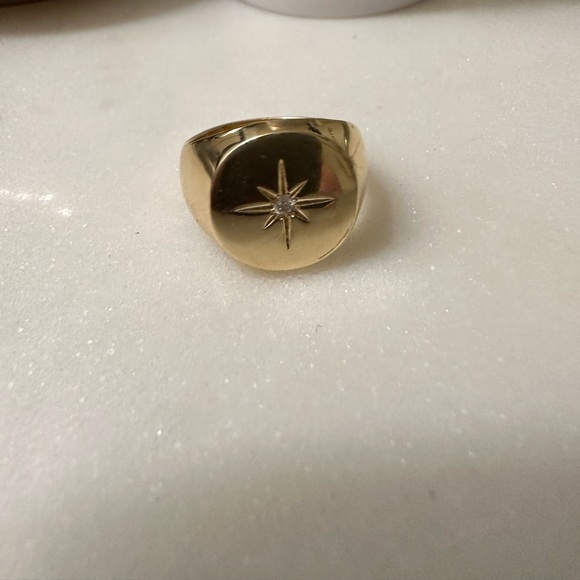 Anine Bing Signet Ring size 4.5 - Picture 2 of 5